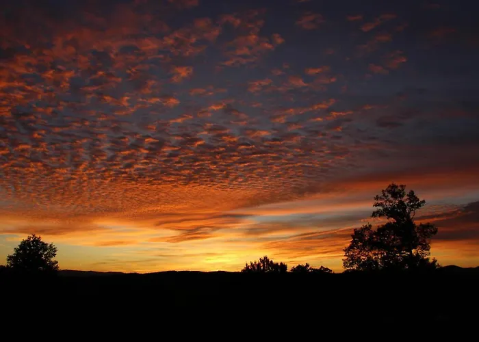 La Framboisine Couette-café